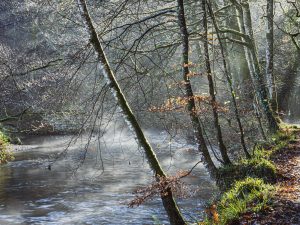 Lanhydrock, misty river
