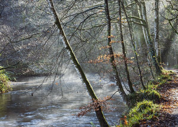 Lanhydrock, misty river