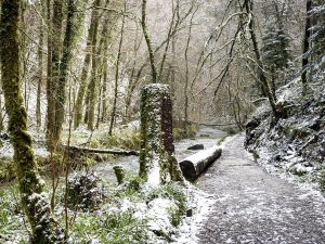 Lydford Gorge in the snow