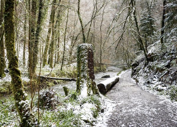Lydford Gorge in the snow