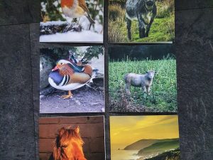 A5 cards