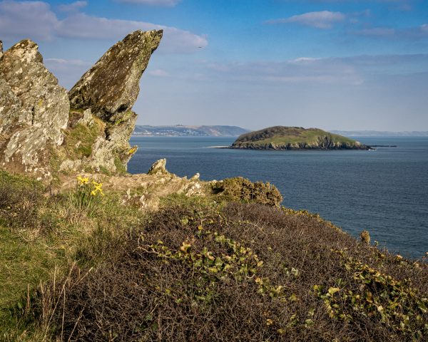 Looe island